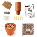 Radis Et Capucine Kit Fabrication Pots De Graines Pour Oiseaux