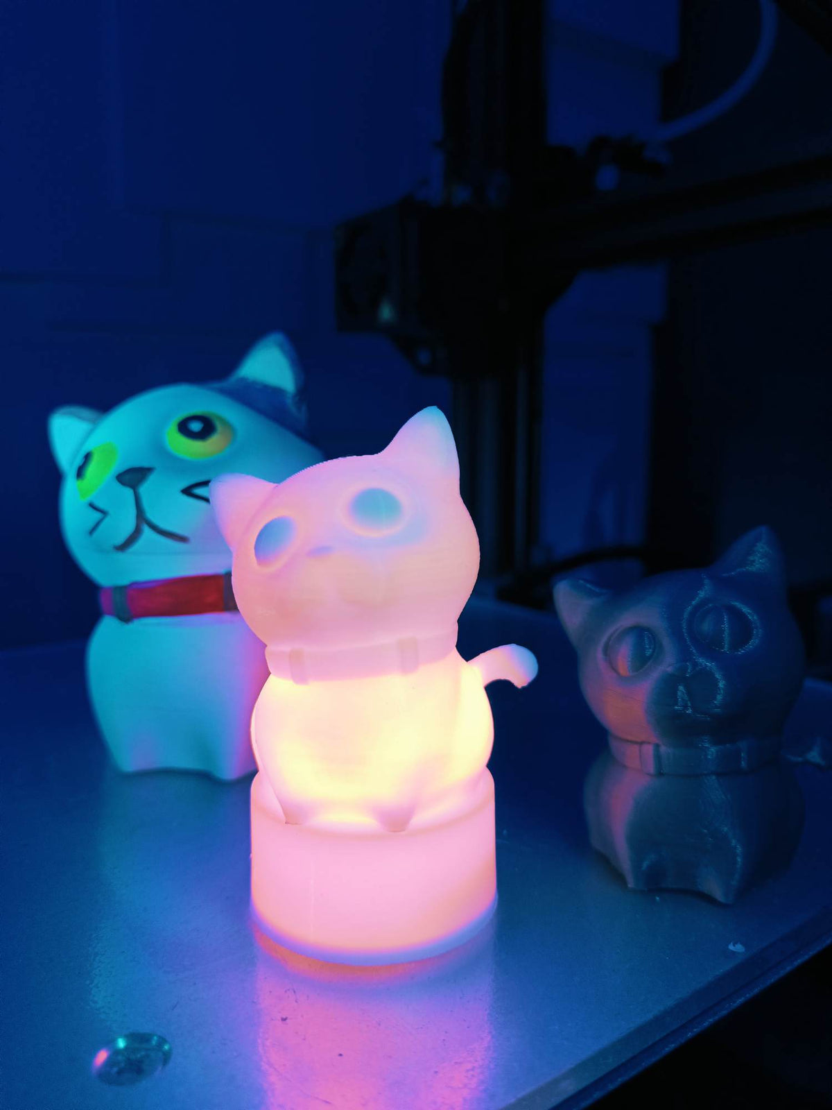 Chat Lumineux Rody