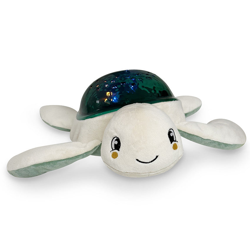 Tortue Lumineuse Manu