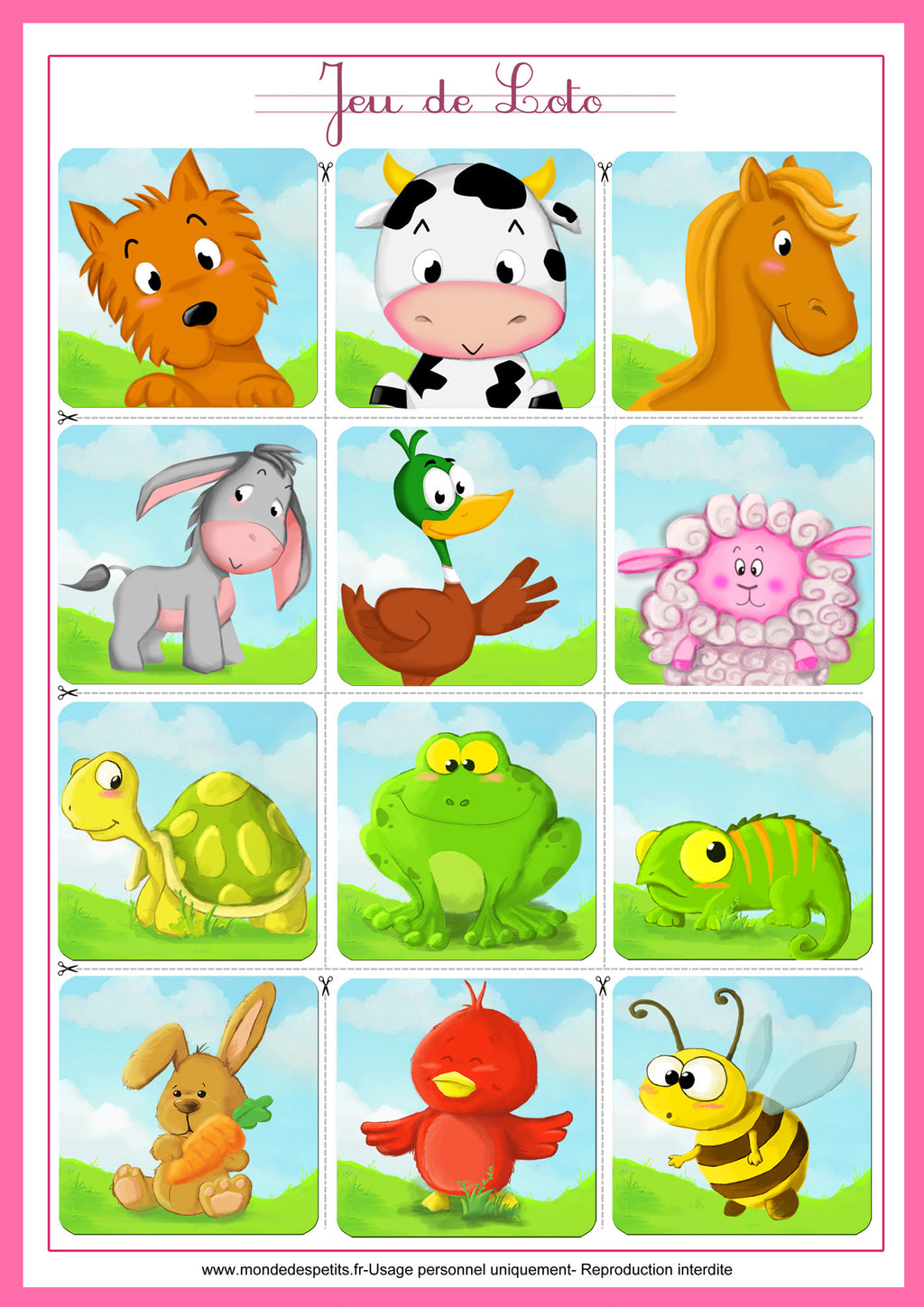 Loto Photo Les Animaux