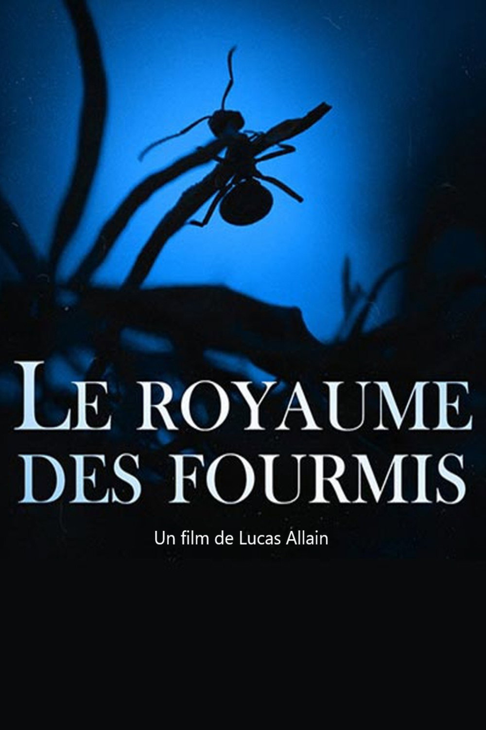 Le Royaume Des Fourmis